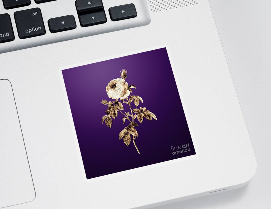 Gold Sticker featuring the painting Gold Provence Rose Bloom on Royal Purple n.02462 by Holy Rock Design