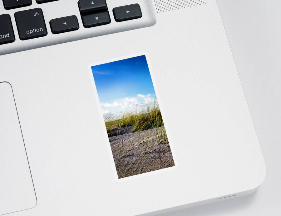 Clouds Sticker featuring the photograph Golden Dune Grasses I by Debra and Dave Vanderlaan