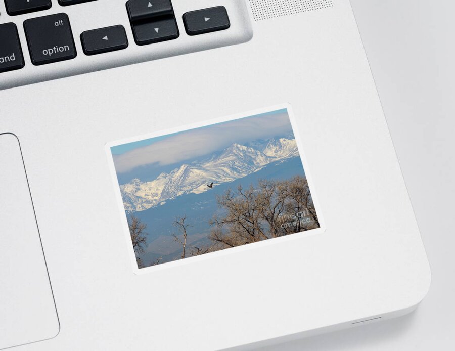 Barr Lake Sticker featuring the photograph Golden Eagles Mountains Barr Lake by Steven Krull