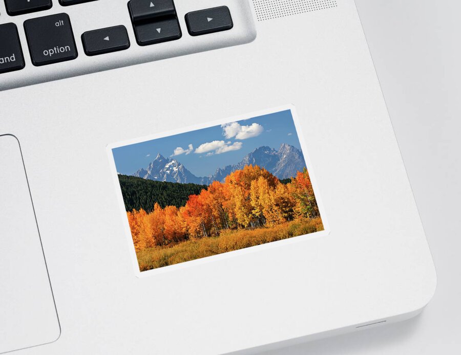 Grand Tetons Sticker featuring the photograph Golden Fall in the Tetons by Wesley Aston