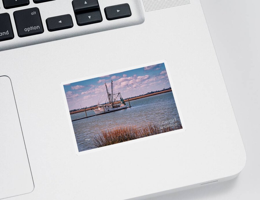  Sticker featuring the photograph Golden Isles Marine PhotoArt by DB Hayes