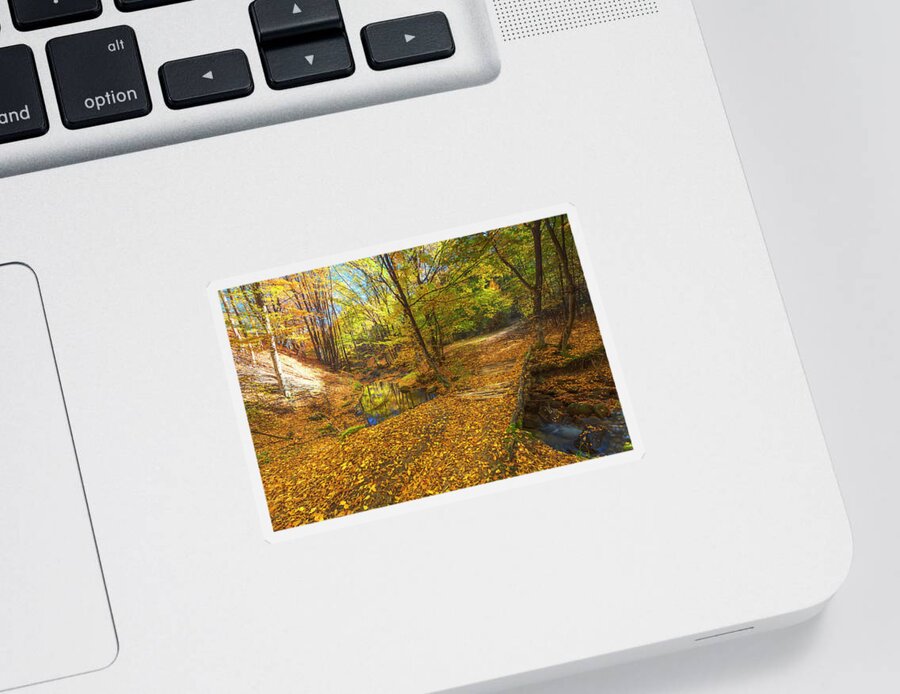 Bulgaria Sticker featuring the photograph Golden River by Evgeni Dinev