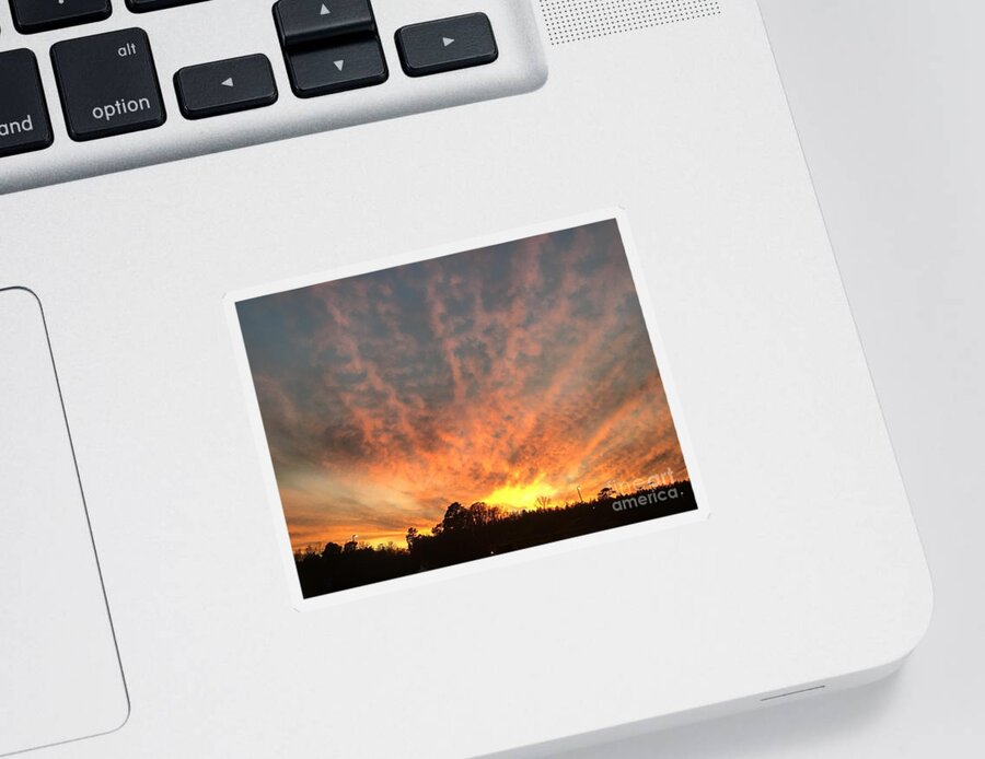 Sunset Sticker featuring the photograph Good Evening Sunset by Catherine Wilson
