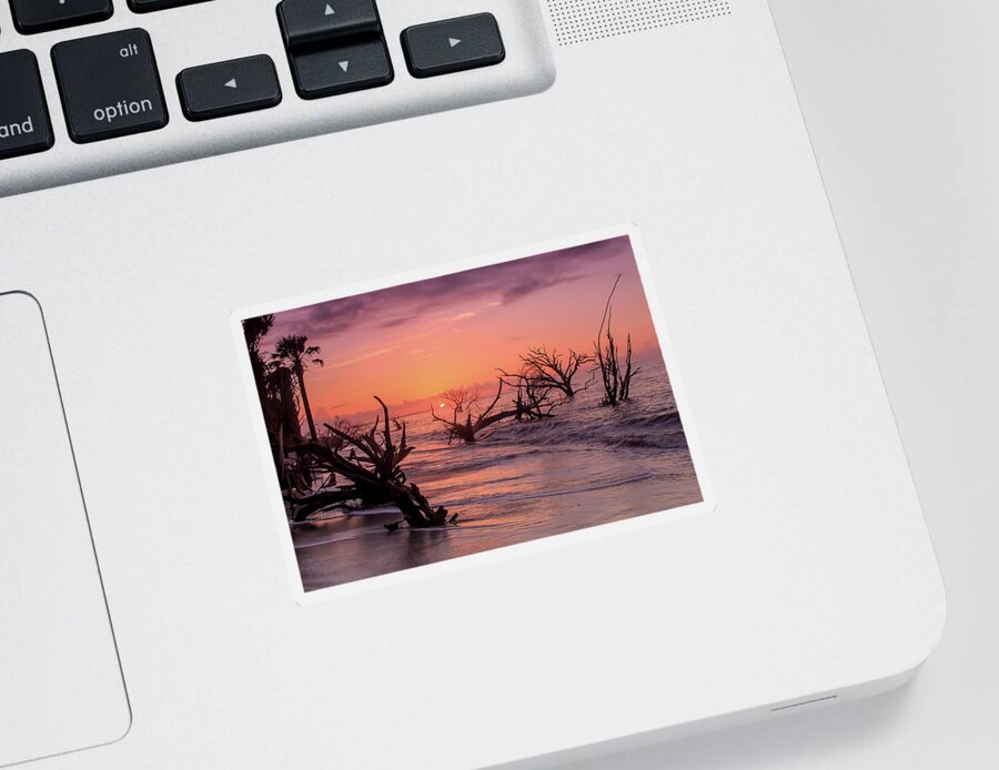 Sunrise Sticker featuring the photograph The Forest and the Sea by Doug McPherson