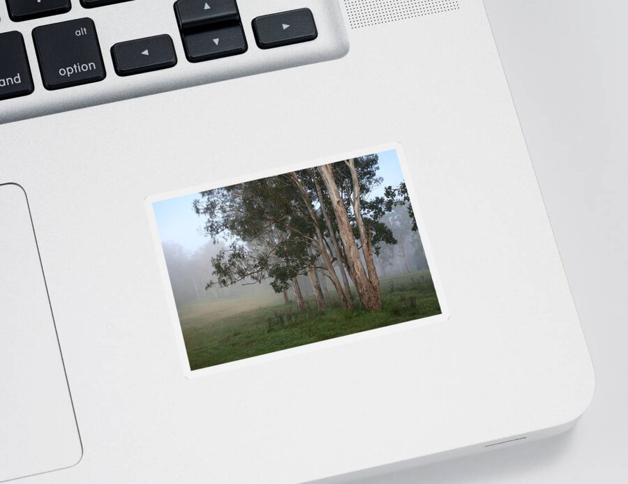 Tree Sticker featuring the photograph Good Morning Gum Trees by Maryse Jansen