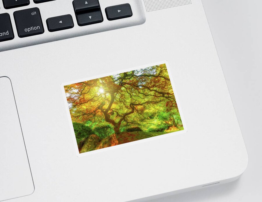 Trees Sticker featuring the photograph Good Morning Sunshine by Darren White
