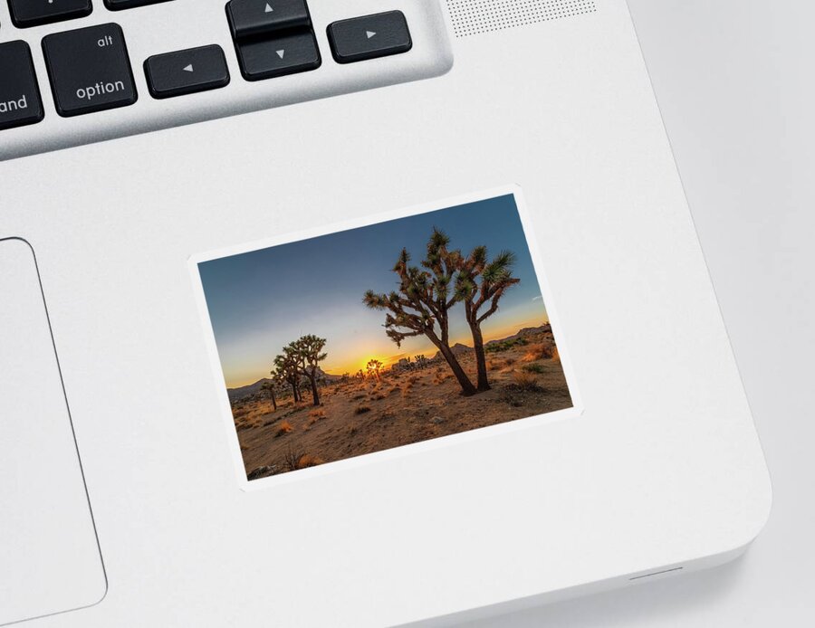 California Sticker featuring the photograph Goodnight Joshua Tree by Peter Tellone