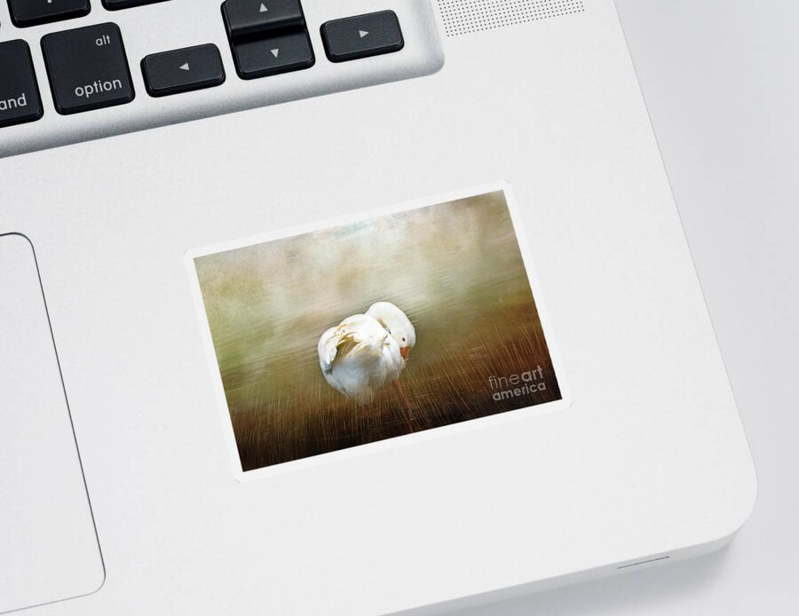 Goose Sticker featuring the photograph Goose with an Itch by Elaine Teague