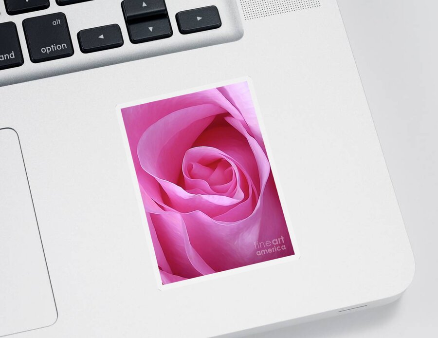 Rose Sticker featuring the photograph Gorgeous Pink by Amy Dundon