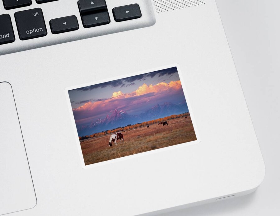 Grand Tetons Sticker featuring the photograph Grand Teton Pasture by Wesley Aston
