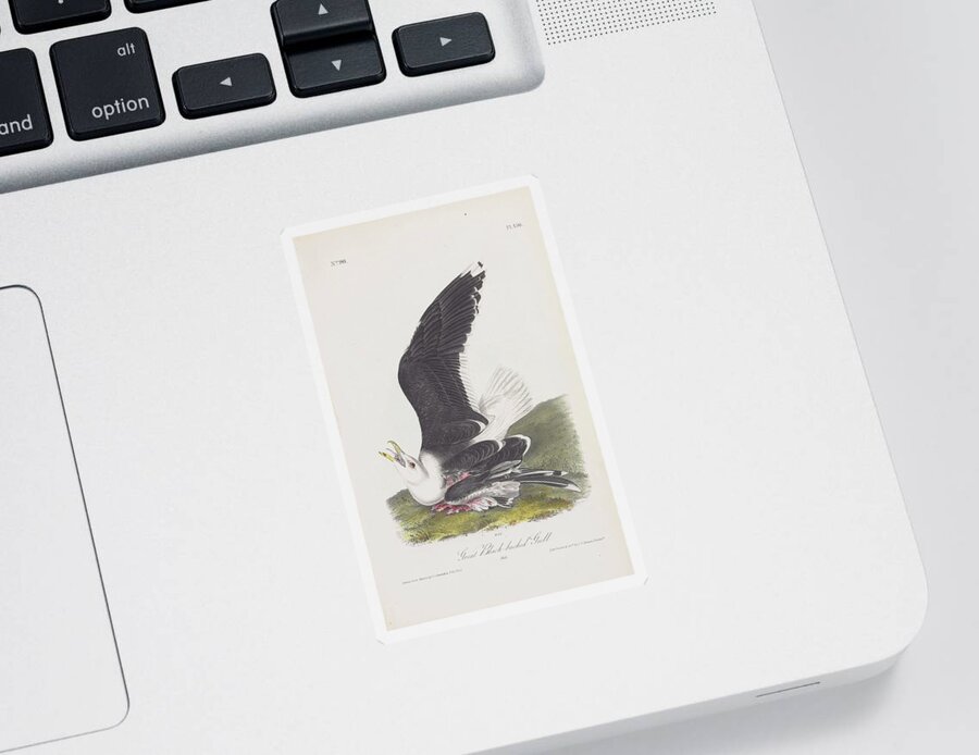 Sea Gull Sticker featuring the digital art Great Black-backed Gull c.1840 by Kim Kent