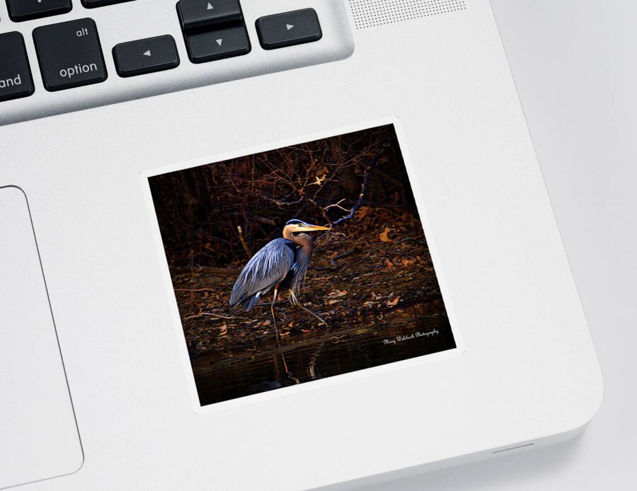 Great Blue Heron Sticker featuring the photograph Great Blue Heron at Twilight by Mary Walchuck