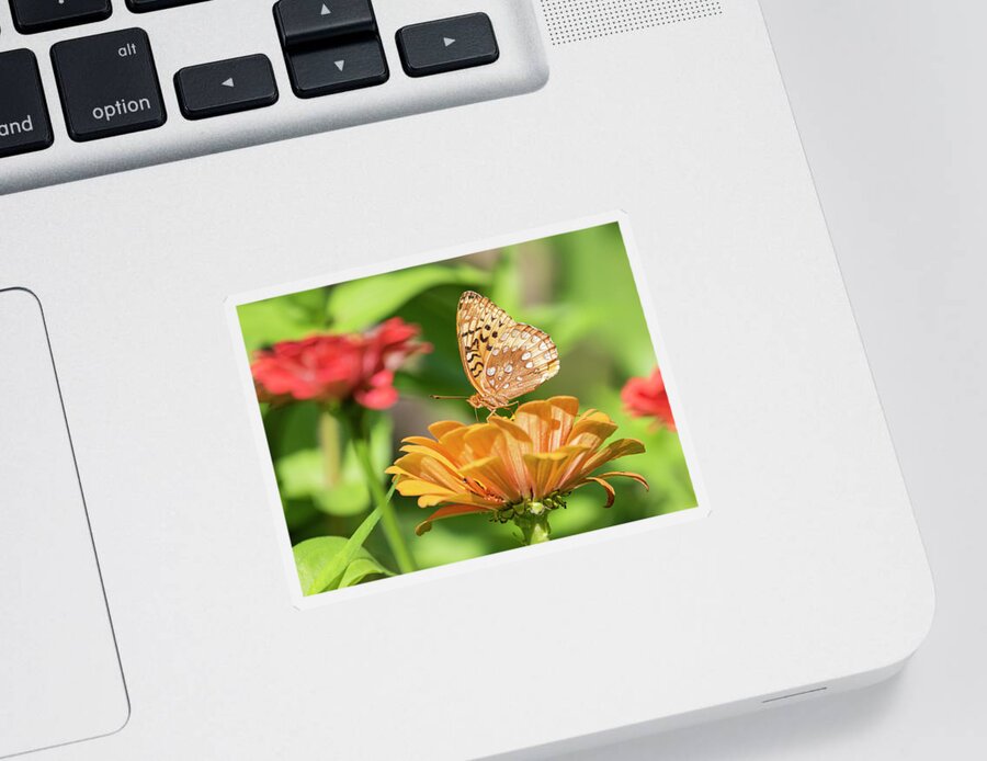Great Spangled Fritillary Sticker featuring the photograph Great Spangled Fritillary 2021-1 by Thomas Young
