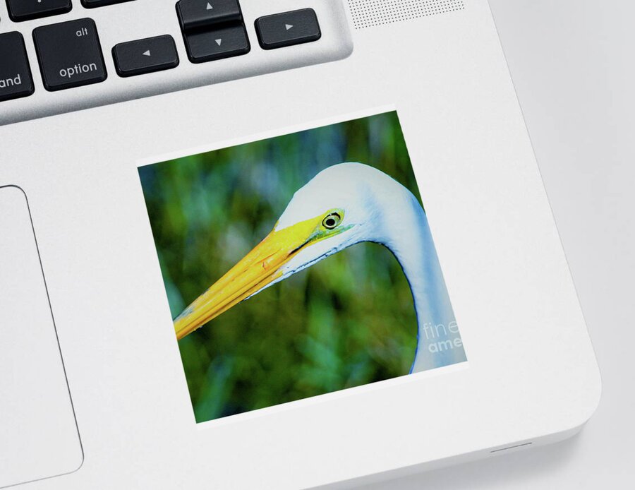 Great White Egret Sticker featuring the photograph Great white egret profile in arctic blues by Joanne Carey