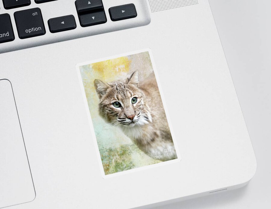 Red Wolf Sanctuary Sticker featuring the photograph Green Eyed Bobcat by Ed Taylor