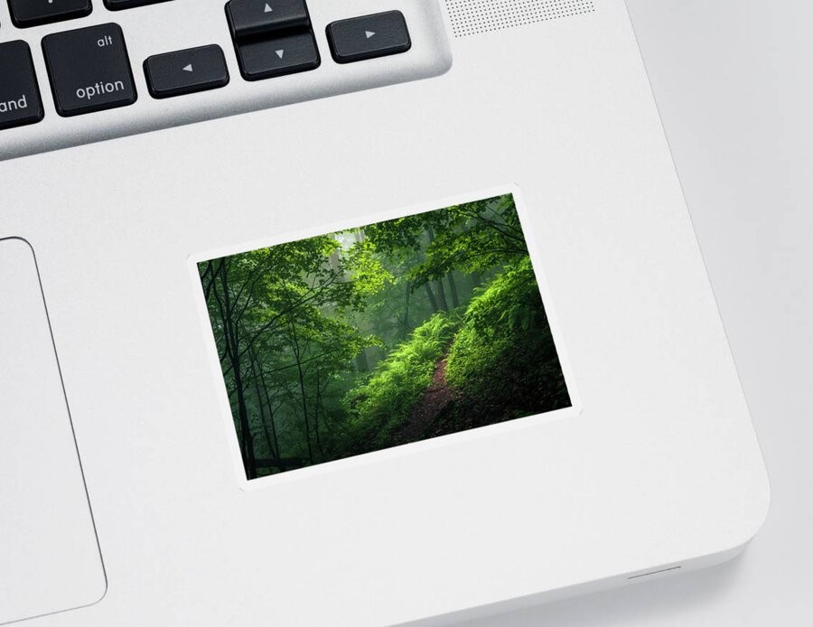 Mountain Sticker featuring the photograph Green Forest by Evgeni Dinev