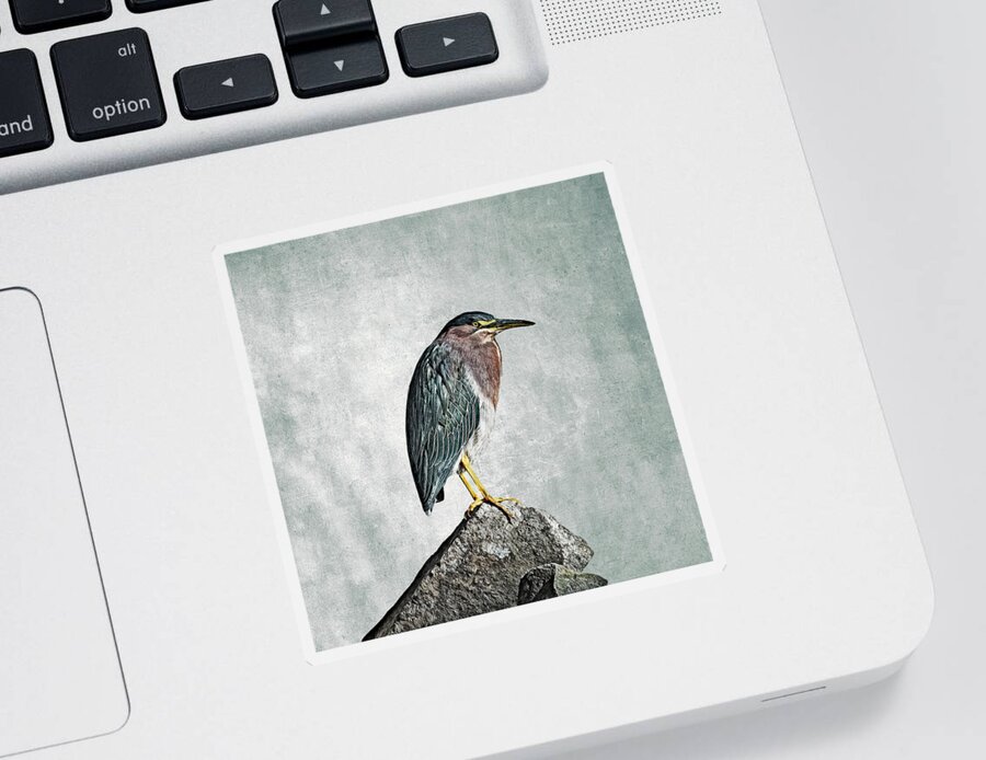 Coyote Hills Shoreline Sticker featuring the photograph Green Heron by Mike Gifford