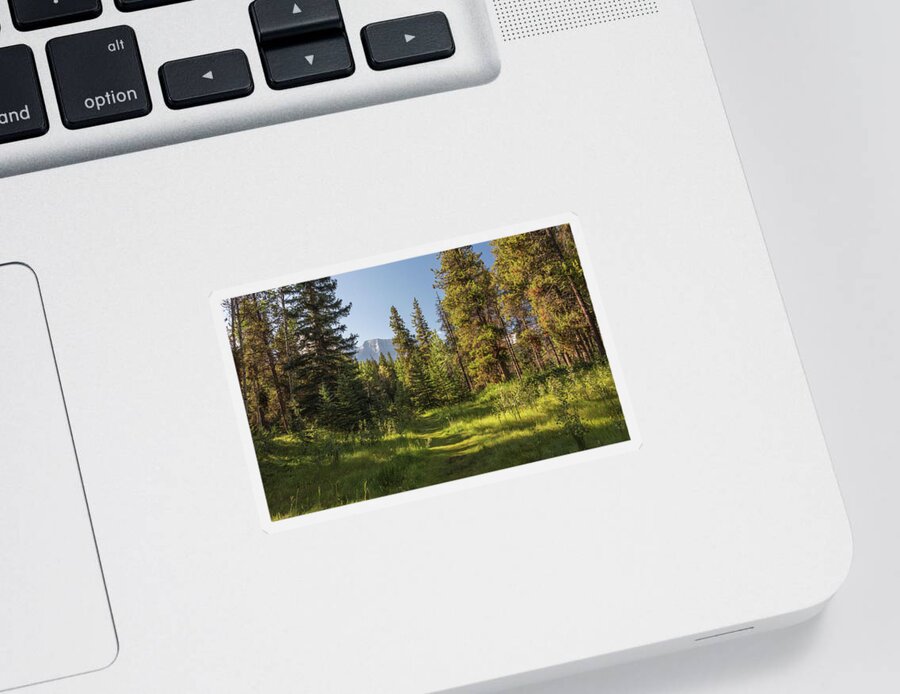 Johnson Lake Sticker featuring the photograph Green Trail by Kristopher Schoenleber