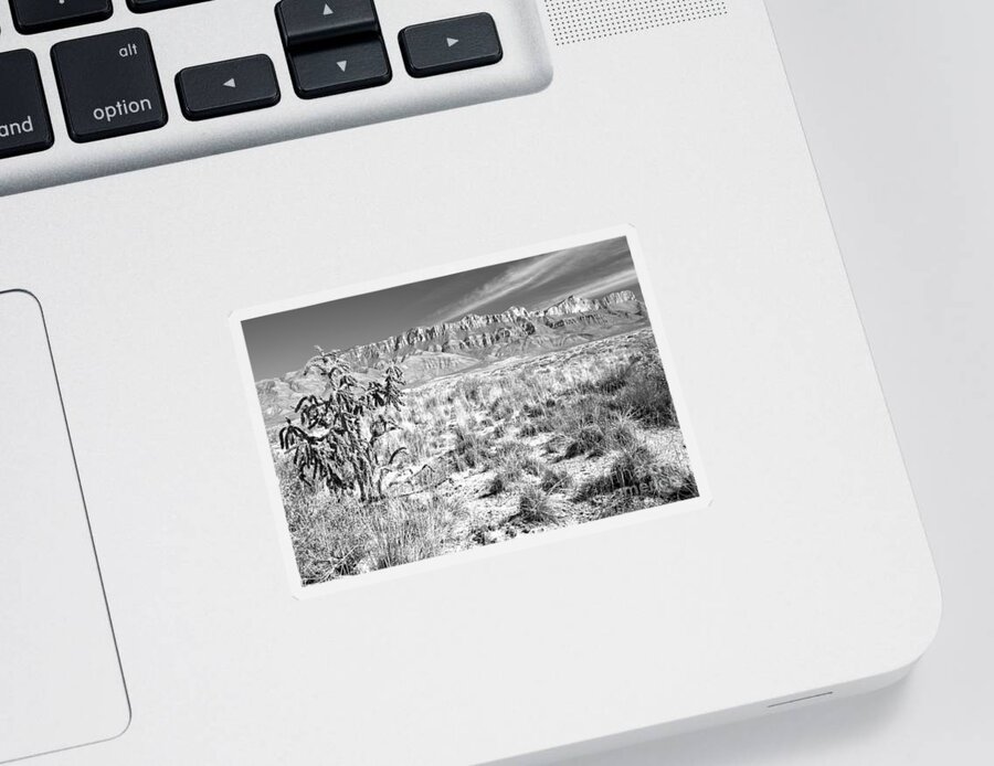 Guadalupe Sticker featuring the photograph Guadalupe Mountains Salt Basin Dune Landscape Black And White by Adam Jewell