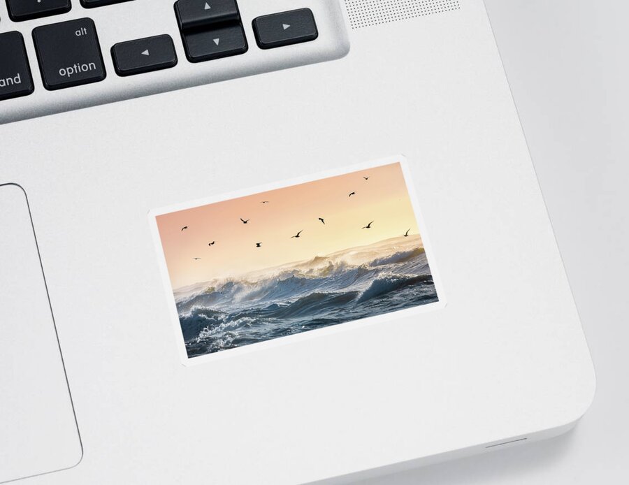 Beach Sticker featuring the photograph Gulls Flying Over Waves Gulf Islands National Seashore Florida by Jordan Hill