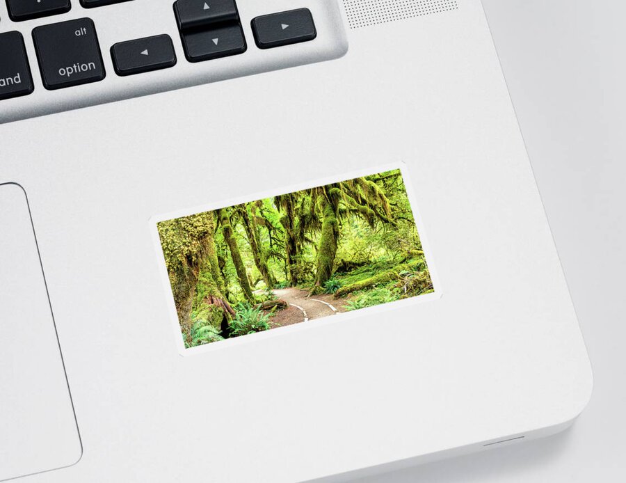 National Park Sticker featuring the photograph Hall of Mosses II by Larey McDaniel