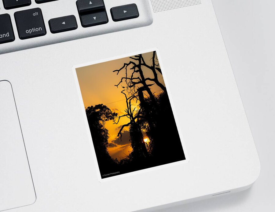 Silhouette Sticker featuring the photograph Halloween Sunset by Pam Rendall
