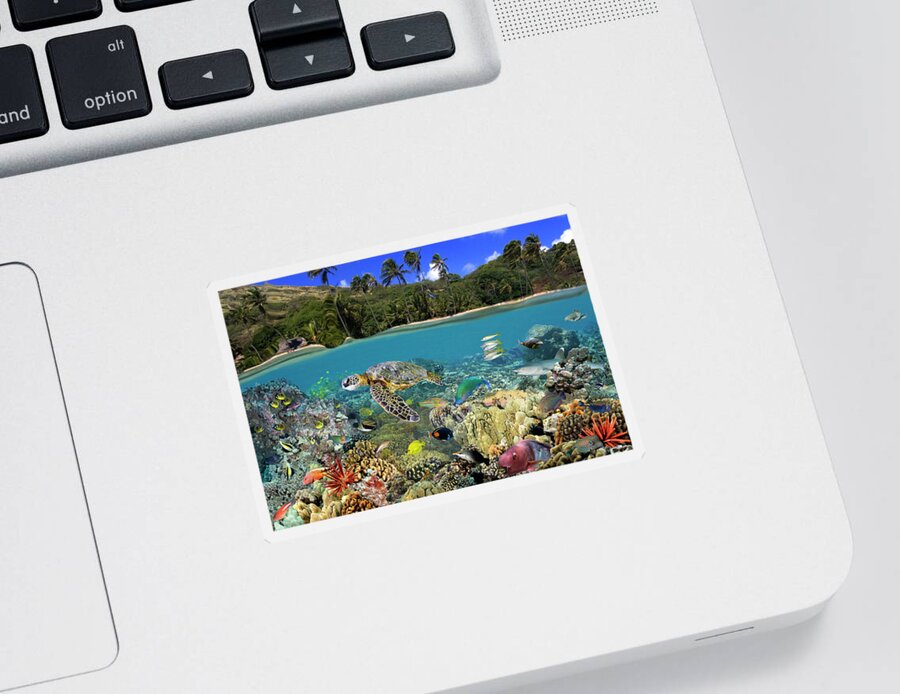 Ocean Sticker featuring the photograph Hanauma Bay by Artesub