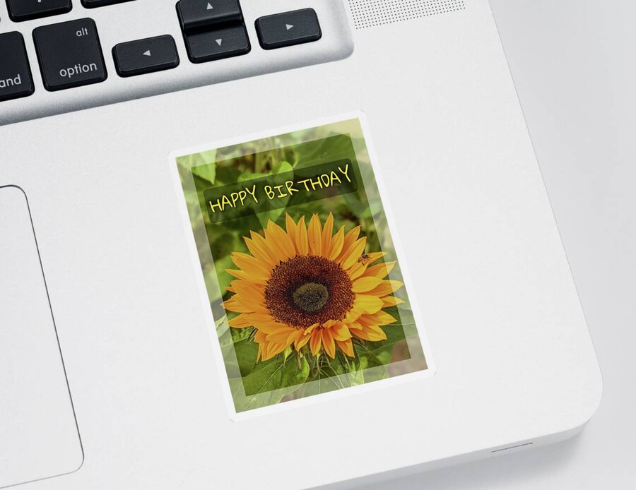  Sticker featuring the photograph Happy Birthday Sunflower by Claudia Zahnd-Prezioso