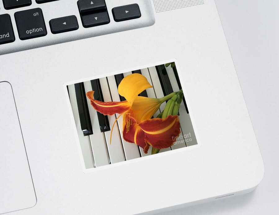 Lily Sticker featuring the photograph Happy Lily on Keyboard by Catherine Wilson