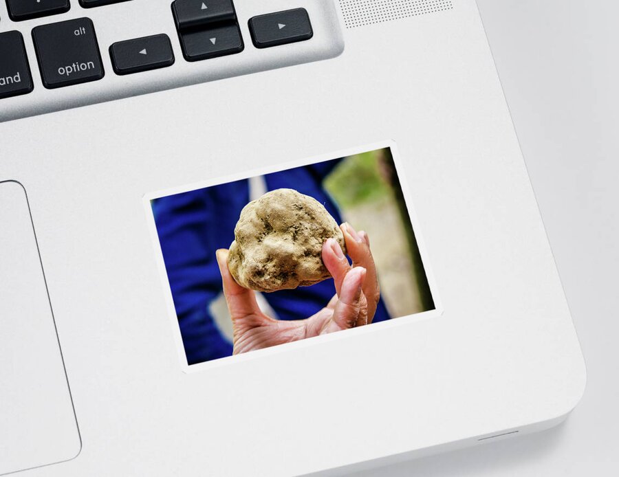 Italy Sticker featuring the photograph Harvested White Truffle by Craig A Walker