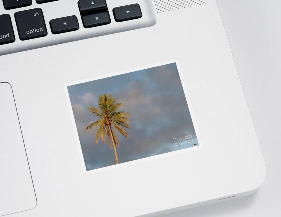 Big Island Sticker featuring the photograph Hawaiian Coconut Palm by Maresa Pryor-Luzier