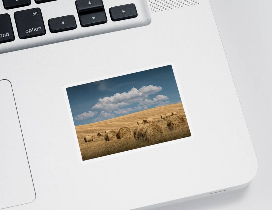 Art Sticker featuring the photograph Hay Bales of Straw during Summer in a Harvest Field by Randall Nyhof