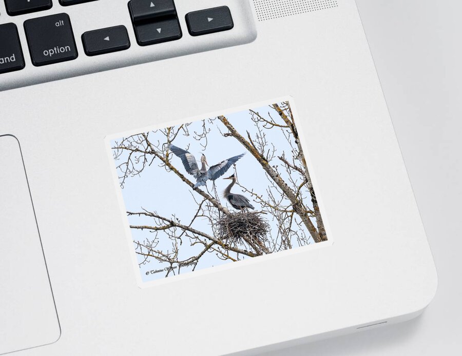 Herons Sticker featuring the photograph Herons at play by Tahmina Watson