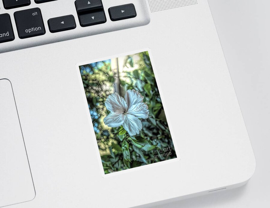 Hibiscus Sticker featuring the photograph Hibiscus Glow by Elaine Teague
