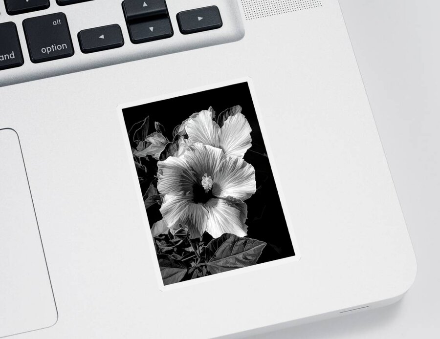 Hibiscus Sticker featuring the photograph Hibiscus Glow by Ginger Stein
