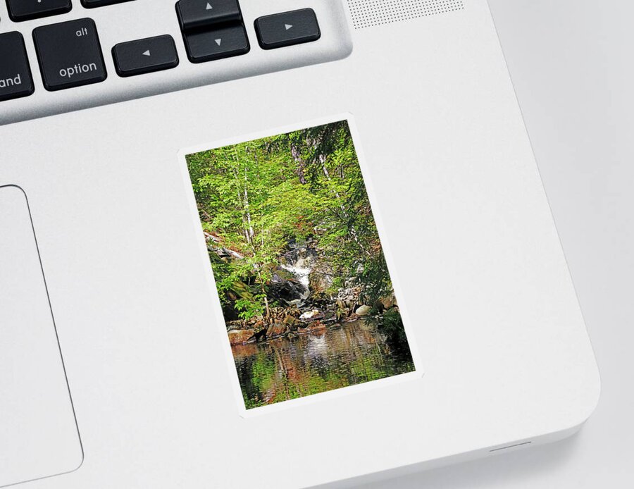 Moon River Sticker featuring the photograph Hidden Falls In The Forest by Debbie Oppermann