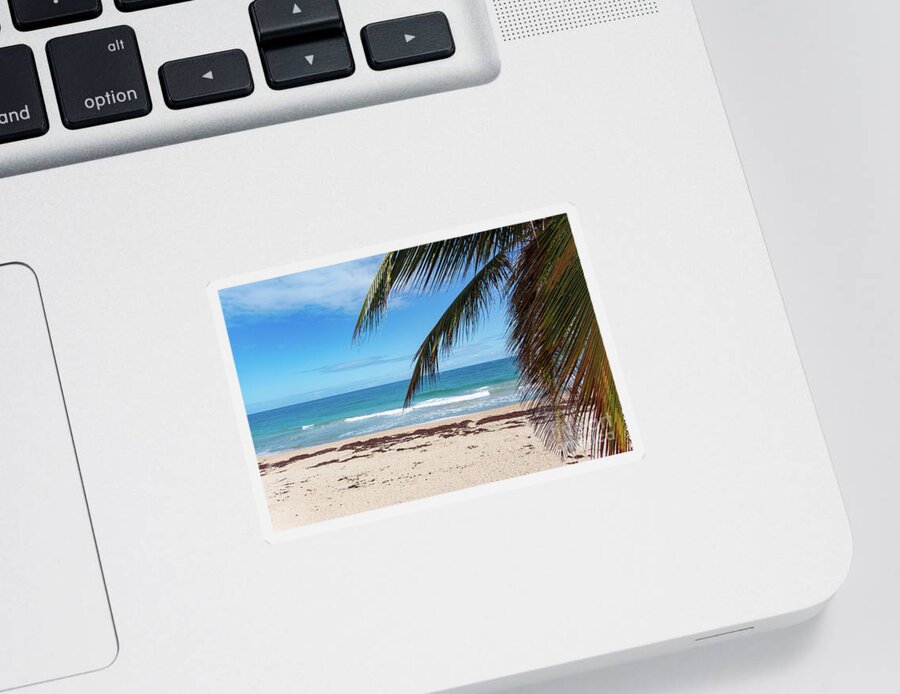 Condado Sticker featuring the photograph Hiding Behind The Palms, Condado Beach, San Juan, Puerto Rico by Beachtown Views