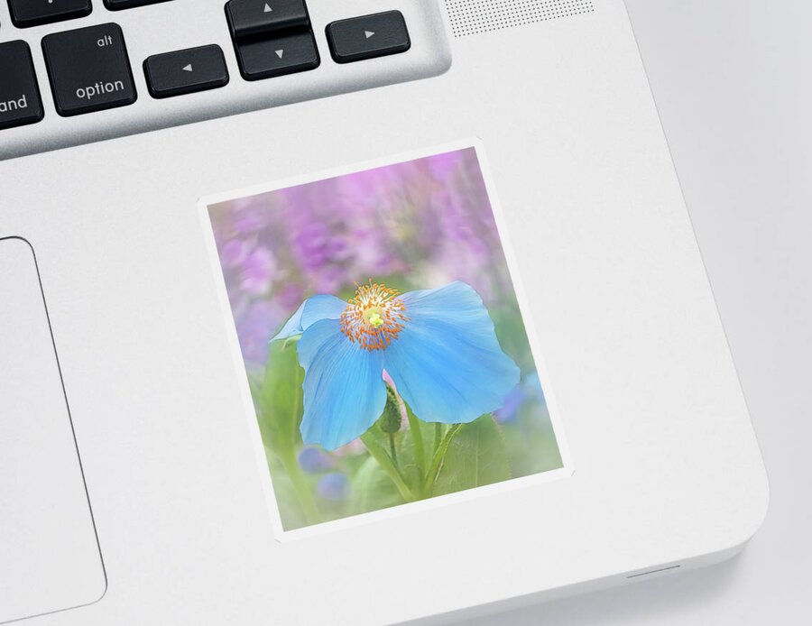 Poppy Sticker featuring the photograph Himalayan Blue Poppy - In The Garden by Sylvia Goldkranz