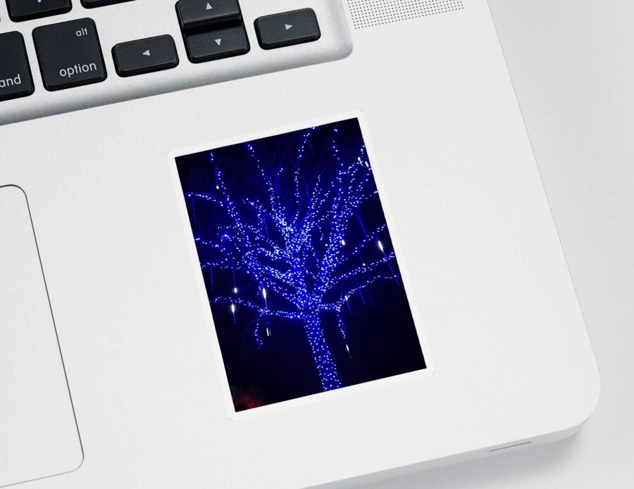 Holiday Sticker featuring the photograph Holiday Tree by Brenna Woods