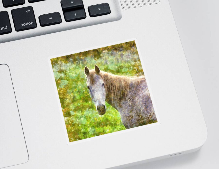 Horse Sticker featuring the painting Horse by Alexa Szlavics