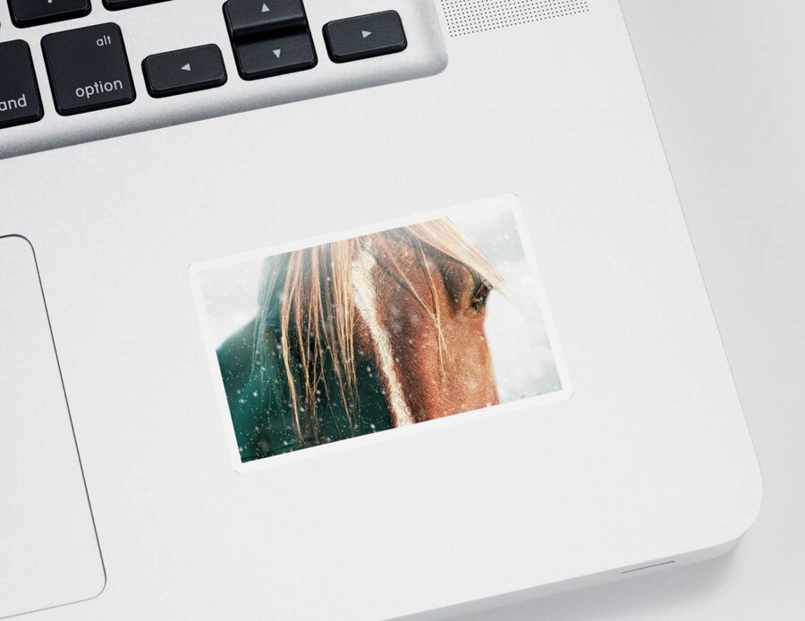Texture Sticker featuring the photograph Horse Gaze by Marjorie Whitley