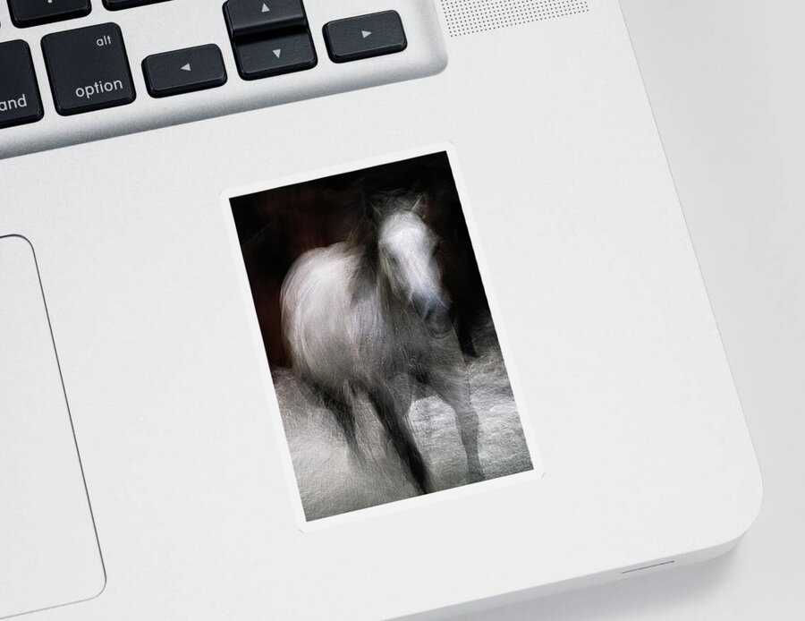 Landscape Sticker featuring the photograph Horse by Grant Galbraith