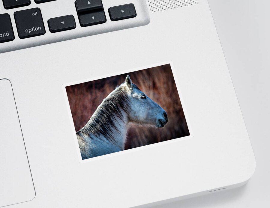 Horse Sticker featuring the photograph Horse No. 4 by Craig J Satterlee