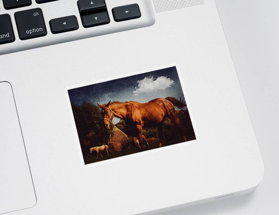Horse Sticker featuring the photograph Horse by Yasmina Baggili
