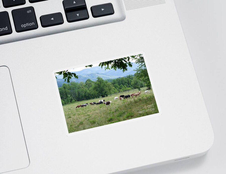 Cades Cove Sticker featuring the photograph Horses at Cades Cove 1 by Phil Perkins