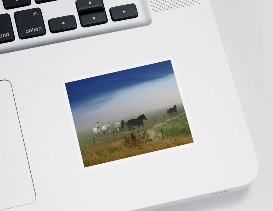 Landscape Sticker featuring the photograph Horses on the Prairie by Dan Jurak