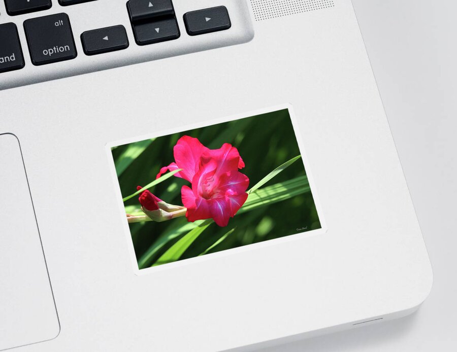Gladiola Sticker featuring the photograph Hot Pink Gladiola by Trina Ansel