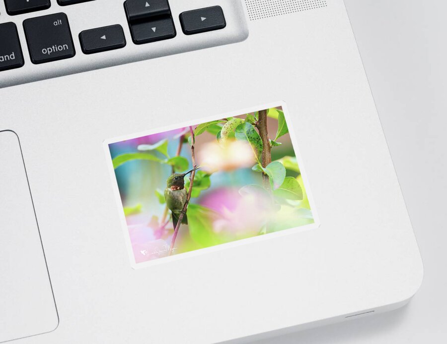 Nature Sticker featuring the photograph I spy with my little eye by Linda Shannon Morgan