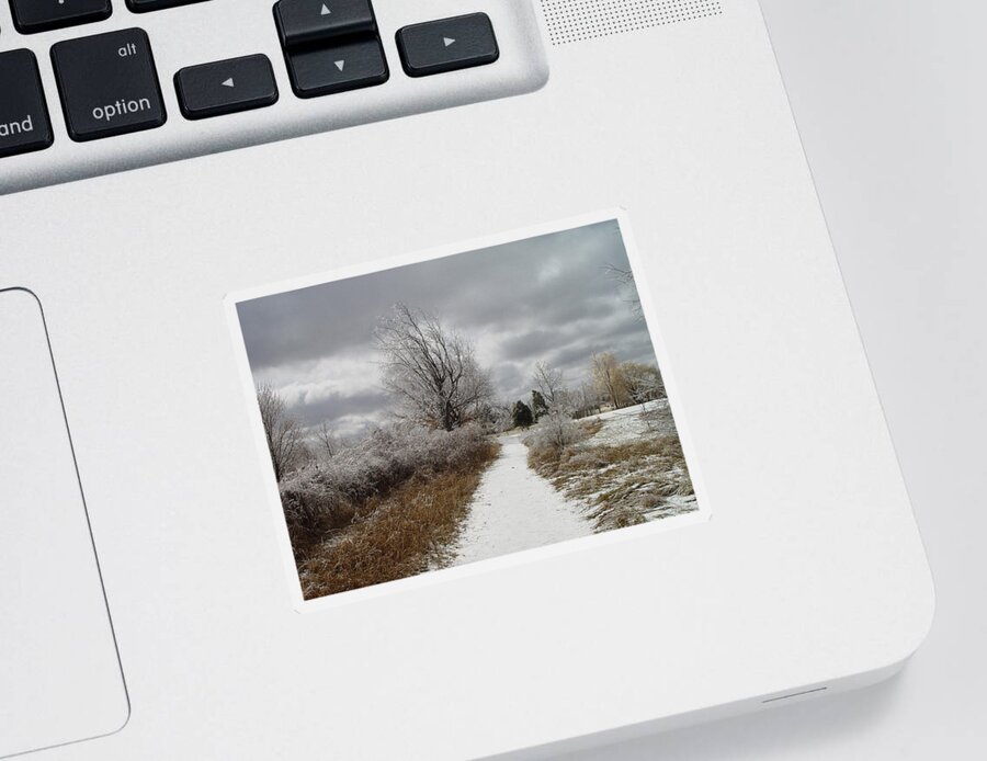 Ice Sticker featuring the photograph Ice Storm by Jeffrey Holbrook