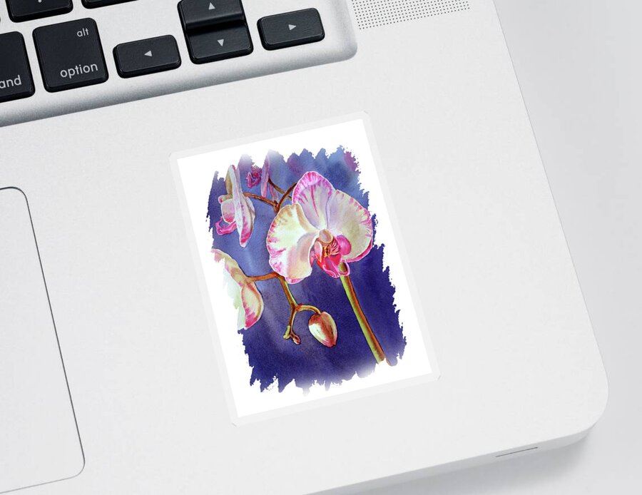 Orchid Sticker featuring the painting Impulse Of Nature Watercolor Orchid Flower Free Brush Strokes VII by Irina Sztukowski